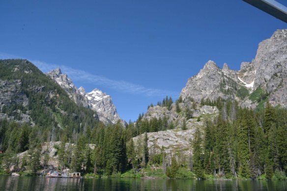 Take the boat to Cascade Canyon and expore the forest, slopes, and talus for flowers. 