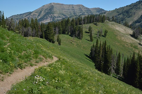 A_BTNF_PassTr_VwN_72714_1web