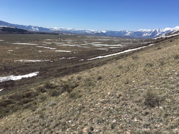 TNP17_BlkTBt_Sslope_4.13.17