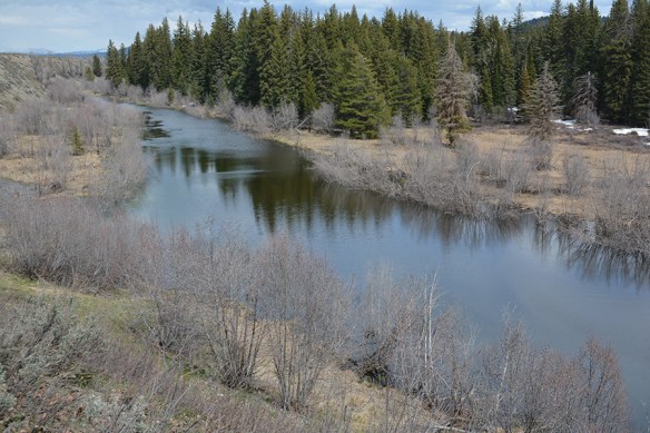 WYHab_WL_MWRd_OWAlder_4.24.15Q2_5x3_180sm