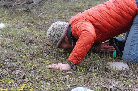 FHC_smellingRanuJovi_4.2018byM_5x3_180