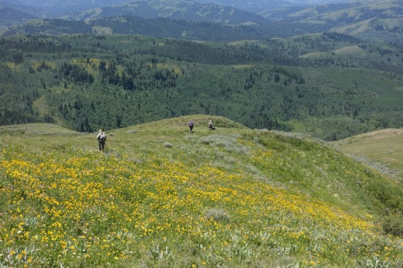 BTNF_Munger_vwdwb_HeliUnif_7.4.18_q1_5x3_180sm