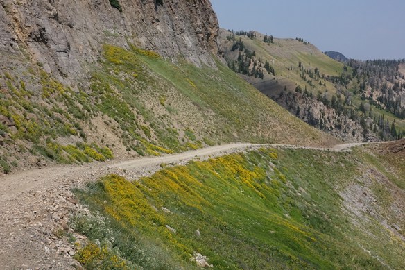 ArniLong_habfl_Rendv_road_8.11.18_1_Q1_5x3_180