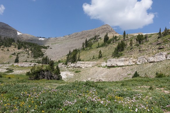 BTNF_Rendv_CodyB_VwNUp_8.7.18_1s_Q1_5x3_180