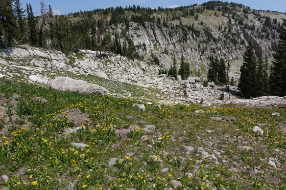 BTNF_Rendv_vwRockSpLp_low_SeneCras_8.11.18_2_Q1_5x3_180