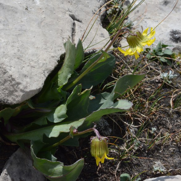 Liqu_Ample_flhab_Rendv_8.6.18_4_Q2_5x5_180