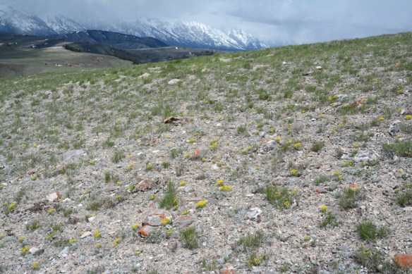 DryKnoll_NendNER_5.14.20_1_Q2_fix_5x3_180