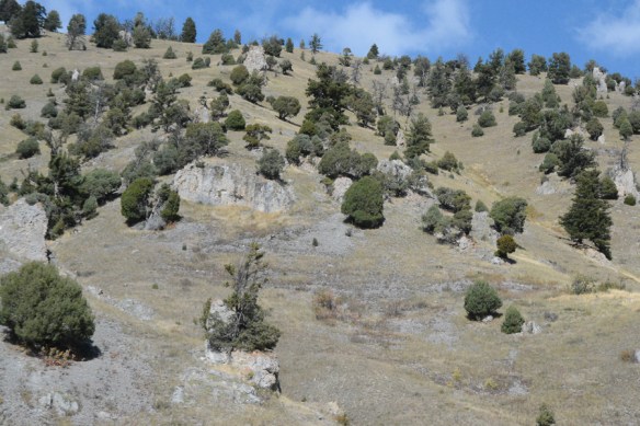 JuniScop_hab_hillside_GameCrk_9.20.19_1_Q1_crp_5x3_180_blg