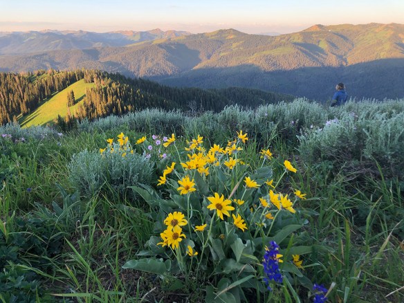 WWA_TetPsTr_Vw S_1_PdP_7.22.20_5x3-200